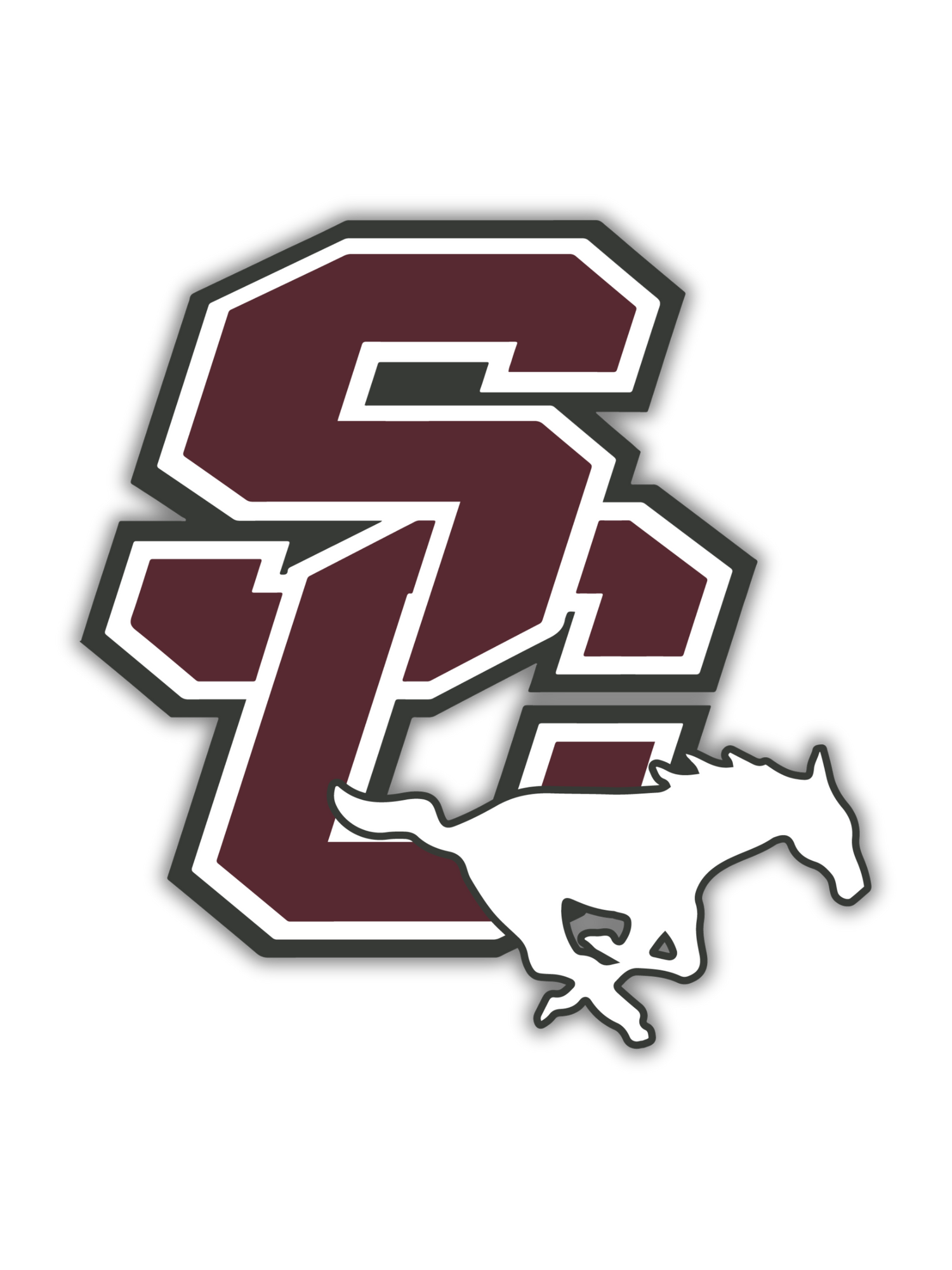 Salina Central High School - General